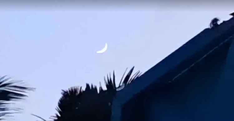 news-thumbnail