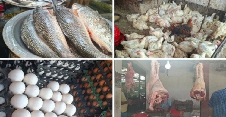 feature-news